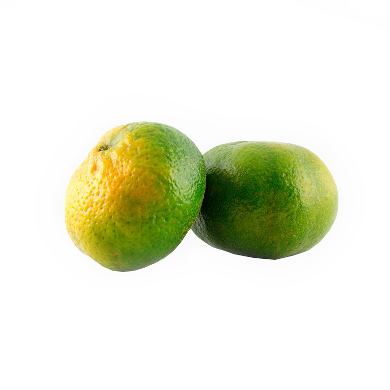 Mandarina Arrayana x Kg