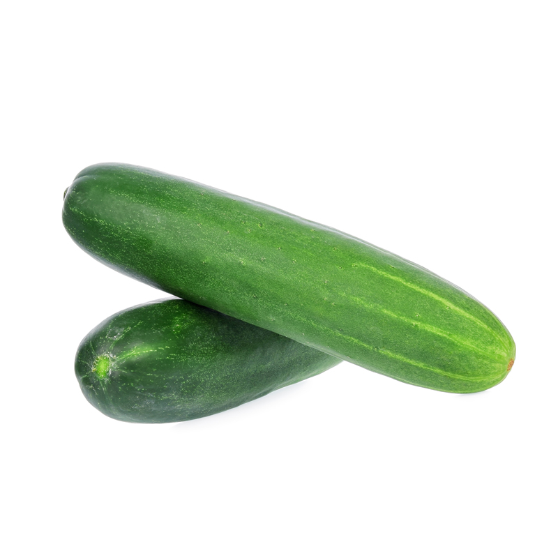 Pepino Cohombro x Kg
