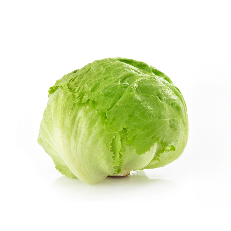Lechuga Batavia x Kg