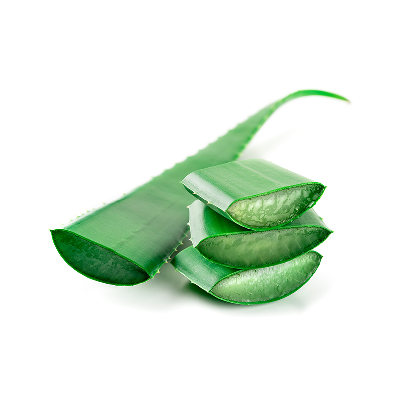 Hoja de Sabila x Kg