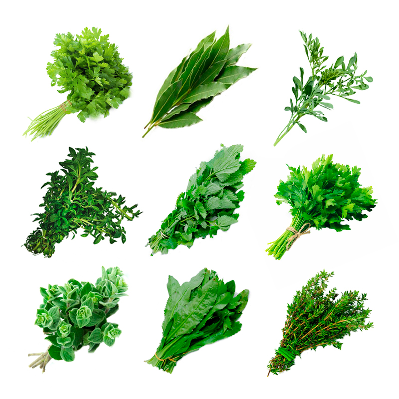 Hierbas * Atado (Detalle cual: manzanilla oregano, tomillo, calendula,hierbabuena, toronjil, romero, eucalipto,hinojo,menta