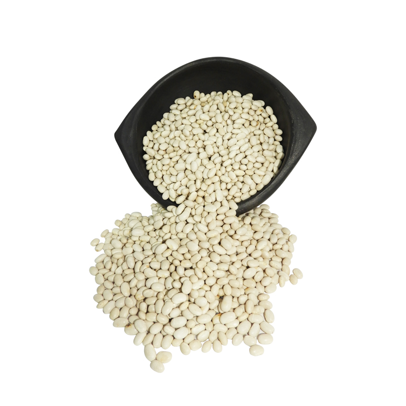 Frijol Seletti Blanquillo A Granel x Kg