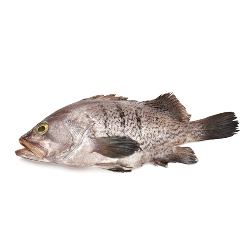 Pescado Merito x Kg