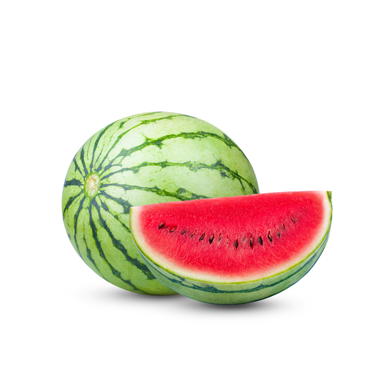 Sandia / Patilla Baby x Kg