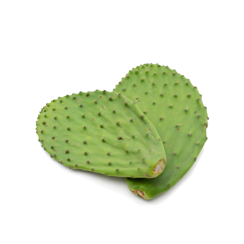 Nopal x Kg