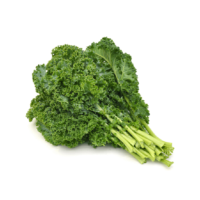 Lechuga Kale Granja Casa Organica