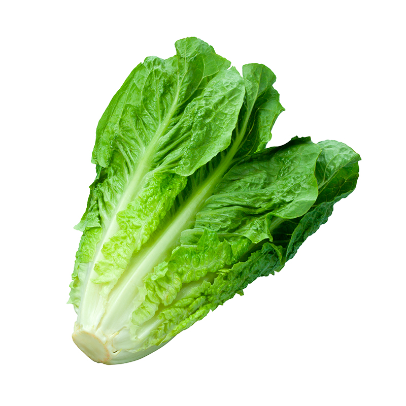 Lechuga Biohuerto Romana Organica 200 gr