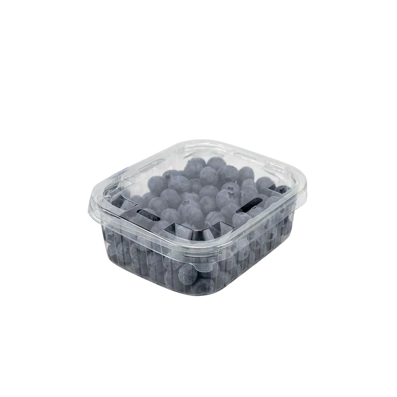 Arandano Frish Pick 250 gr