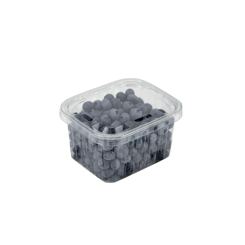 Arandano Frish Pick 500 gr