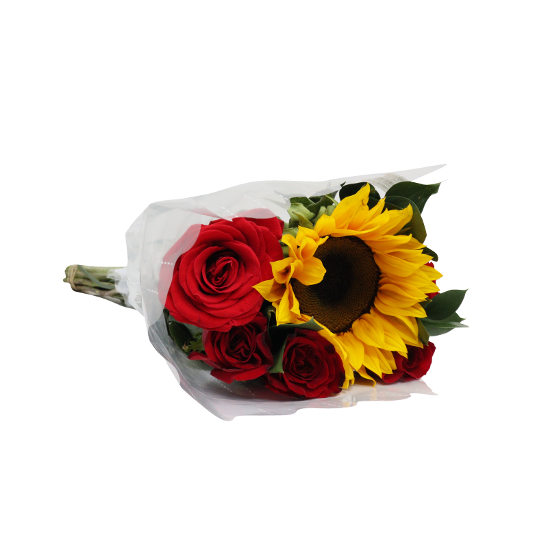Flores De Mi Tierra Extasis